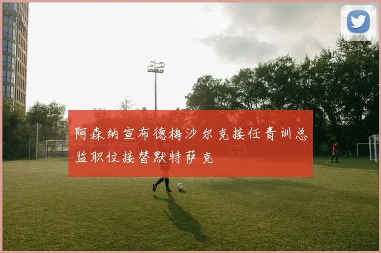 阿森纳宣布德梅沙尔克接任青训总监职位接替默特萨克