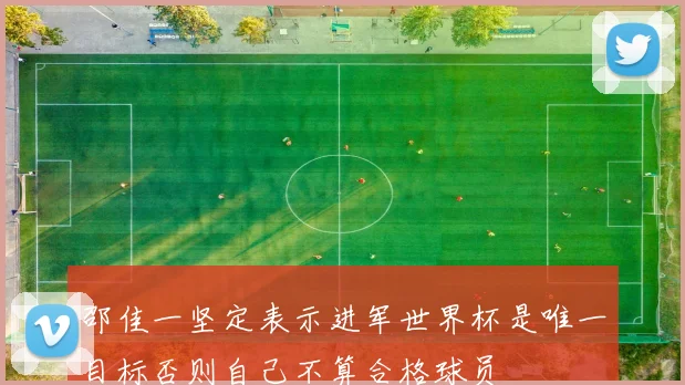邵佳一坚定表示进军世界杯是唯一目标否则自己不算合格球员